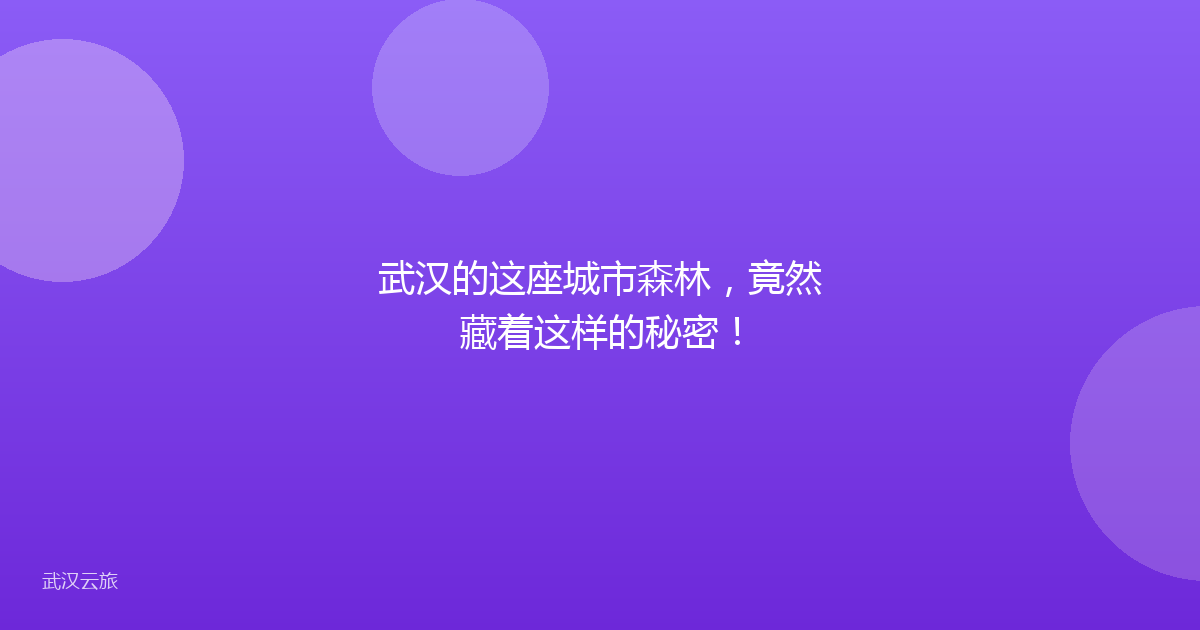 武汉的这座城市森林,竟然藏着这样的秘密!